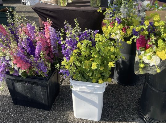 Broad Ripple Farmers Market by null
