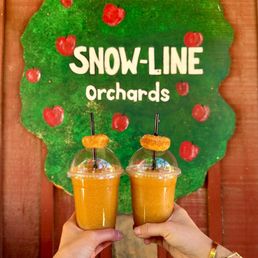 Apple Cider Slushies x 2 Apple Cider Slushies x 2