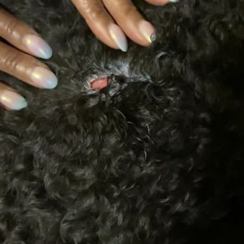 Camp Bow Wow - First nip in July/2021 - Pet Training Near Me - Montgomery, Alabama