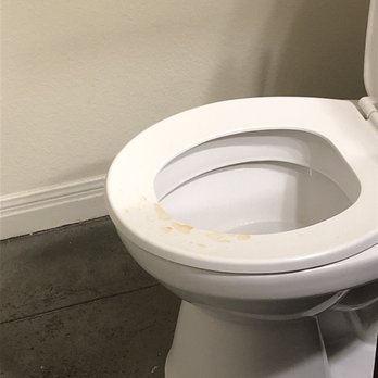 Ely Properties - Urine on the toilets when we moved in - Property Management Near Me - Austin, Texas Ely Properties - Urine on the toilets when we moved in - Property Management Near Me - Austin, Texas