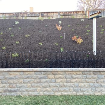 Caliscapes OC - Landscaping Near Me