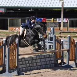 Silent Knight Stables