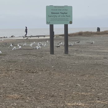 San Leandro Marina - Parks Near Me - San Leandro, California San Leandro Marina - Parks Near Me - San Leandro, California