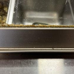 What is all that gunk...grease, roach poop?