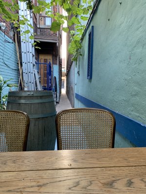 Paradise Grapevine by null