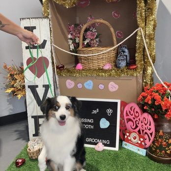 Lovely Grooming - Pet Groomers Near Me - San Antonio, Texas Lovely Grooming - Pet Groomers Near Me - San Antonio, Texas