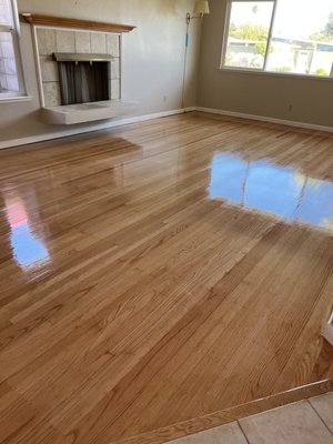 AMAZING HARDWOOD FLOORS - Updated March 2025 - 48 Photos & 17 Reviews