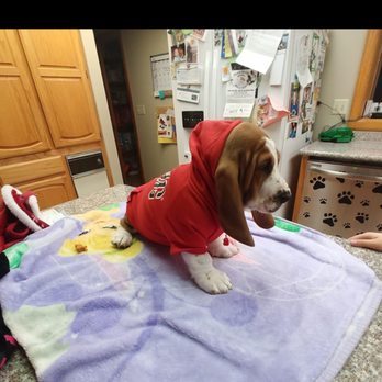 Alphapets - Pet Stores Near Me - Libby, Montana