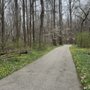 Photo of Brum Woods