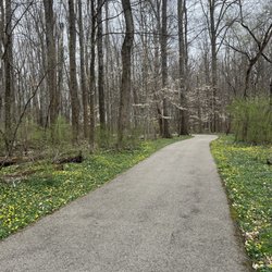 Brum Woods