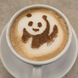 Dimitri's Diner - Cappuccino with panda