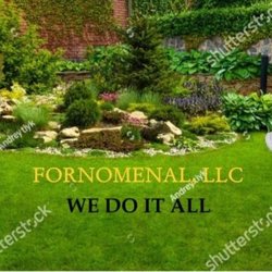 Four-Nomenal - Business cards