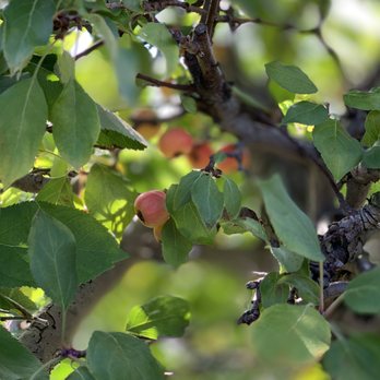 Terhune Orchards - Fruits & Veggies Near Me - Princeton, New Jersey
