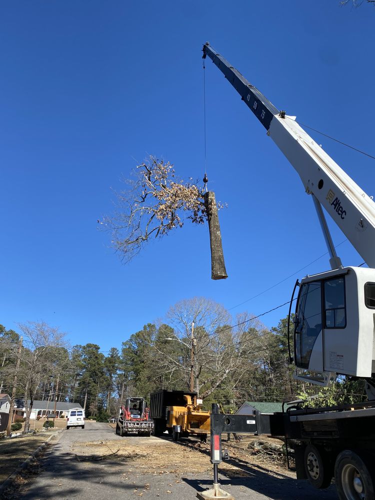 Infinity Tree Service - tree service in Augusta, GA