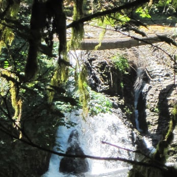 Silver Falls State Park - #8 Twin Falls, 31 ft. - Hiking Near Me - Sublimity, Oregon Silver Falls State Park - #8 Twin Falls, 31 ft. - Hiking Near Me - Sublimity, Oregon