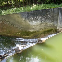 Plan d'eau de la Sangsue