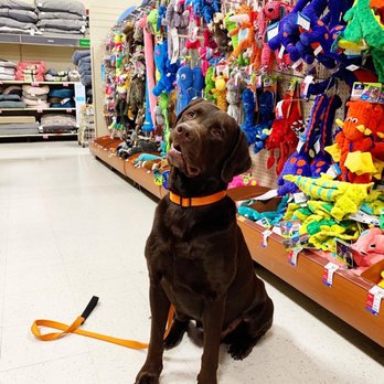 PetSmart - Pet Training Near Me - Philadelphia, Pennsylvania PetSmart - Pet Training Near Me - Philadelphia, Pennsylvania