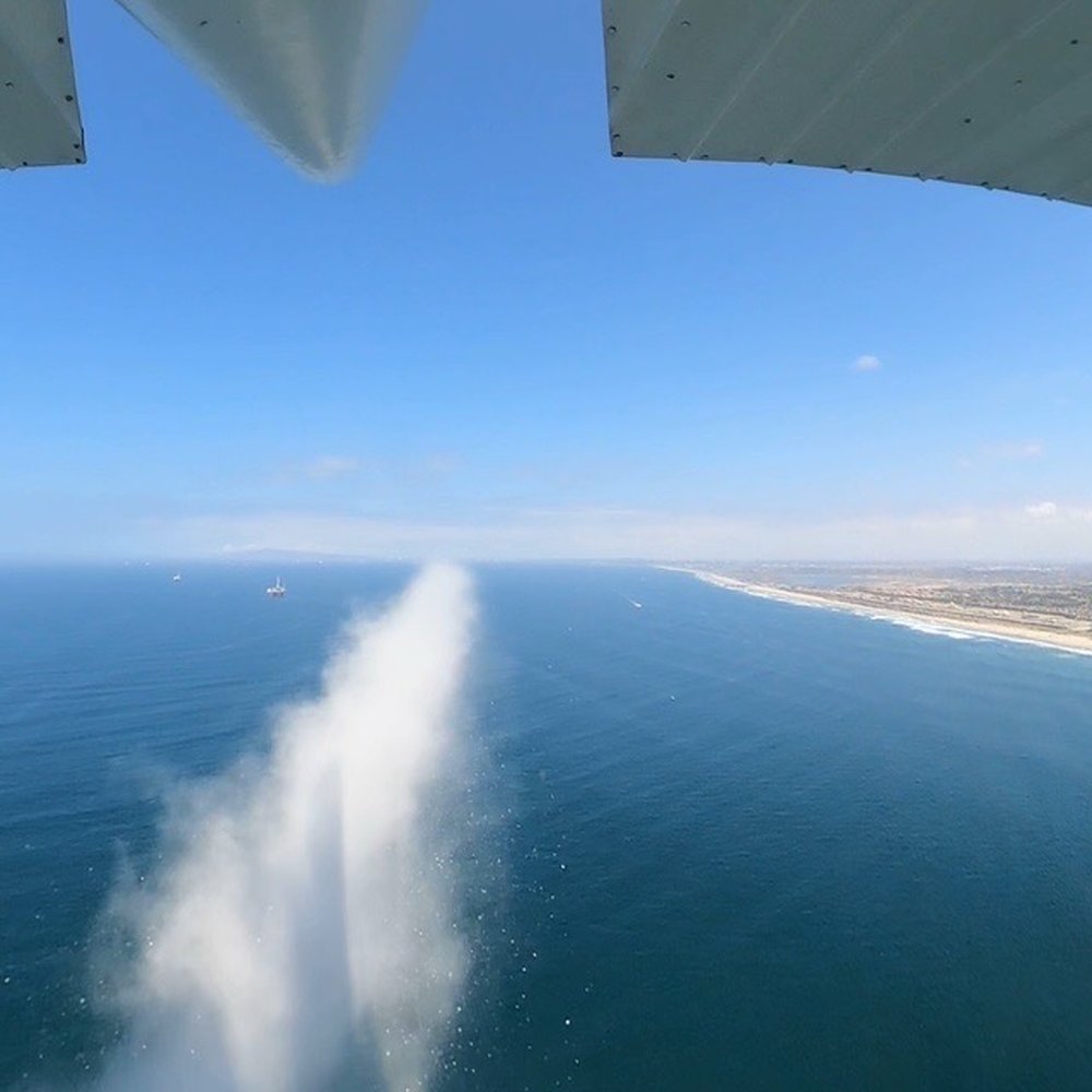 Photo from a Journey with Wings' camera.