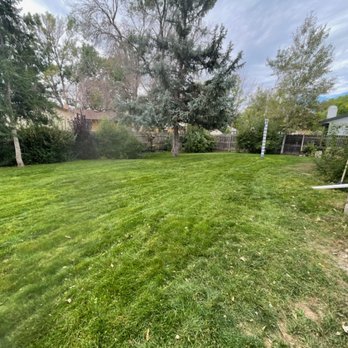 Guardado’s Landscaping - Landscaping Near Me Guardado’s Landscaping - Landscaping Near Me