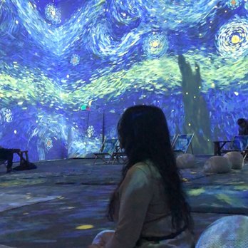 Van Gogh - Art Tours Near Me - Schenectady, New York