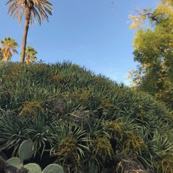 Jardim Botânico da Universidade de Lisboa