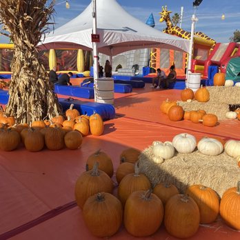 ABC Tree Farms - Pumpkin Patches Near Me - San Lorenzo, California ABC Tree Farms - Pumpkin Patches Near Me - San Lorenzo, California