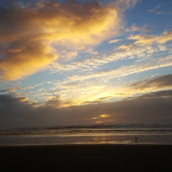 Long Beach - Beaches Near Me - Long Beach, Washington Long Beach - Beaches Near Me - Long Beach, Washington