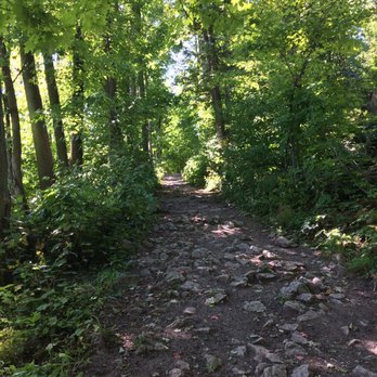 Hilton Falls Conservation Area - The trail ahead - Parks Near Me - Milton, Ontario