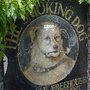 Photo of The Smoking Dog