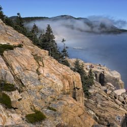 Acadia Photo Safari