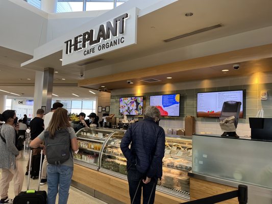 The Plant Café Organic by null