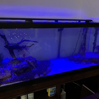 Aqua Imports - Aquarium Services Near Me - Boulder, Colorado