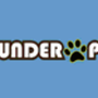Photo of Thunder Pet
