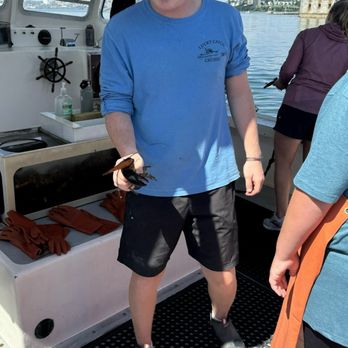 Lucky Catch Cruises - Boat Charters Near Me - Portland, Maine