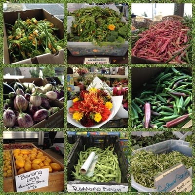 Lake City Farmers Market by null