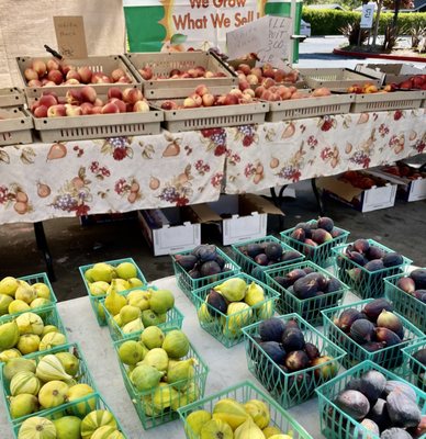 Santa Clara Farmers Market by null