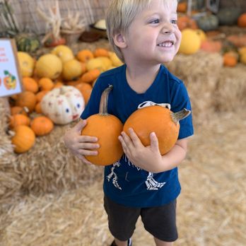 Pumpkin Station - Farms Near Me - Escondido, California