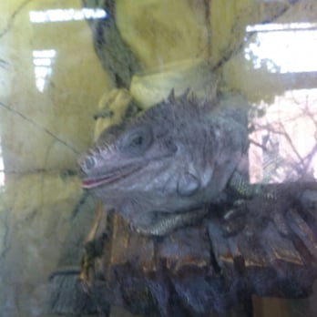 Long Island Aquarium - He looks confused - Aquariums Near Me - Riverhead, New York Long Island Aquarium - He looks confused - Aquariums Near Me - Riverhead, New York