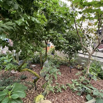 United States Botanic Garden - Botanical Gardens Near Me - Washington, DC, District of Columbia United States Botanic Garden - Botanical Gardens Near Me - Washington, DC, District of Columbia