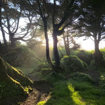 Kalaloch Beach and Campground - Unfiltered picture of the sun giving a gorgeous color to our campsite! - Campgrounds Near Me - Forks, Washington Kalaloch Beach and Campground - Unfiltered picture of the sun giving a gorgeous color to our campsite! - Campgrounds Near Me - Forks, Washington