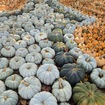 Maan Farms - Farmers Market Near Me - Abbotsford, British Columbia