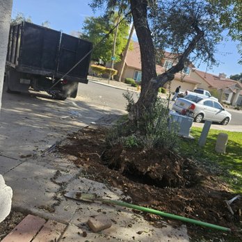 Alamo Mountain Landscaping - Tree Services Near Me Alamo Mountain Landscaping - Tree Services Near Me