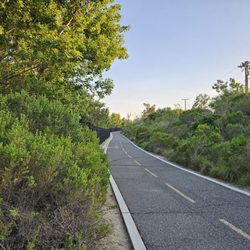 Anaheim Coves