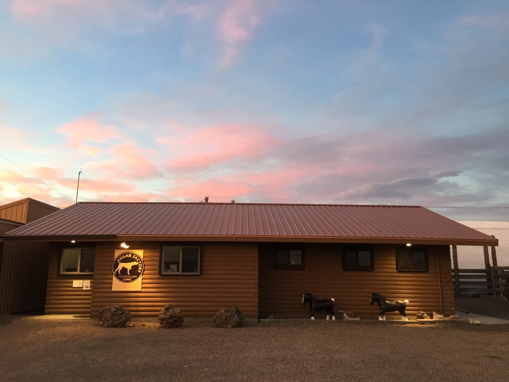SUGAR FACTORY VETERINARY CLINIC Updated August 2024 Request