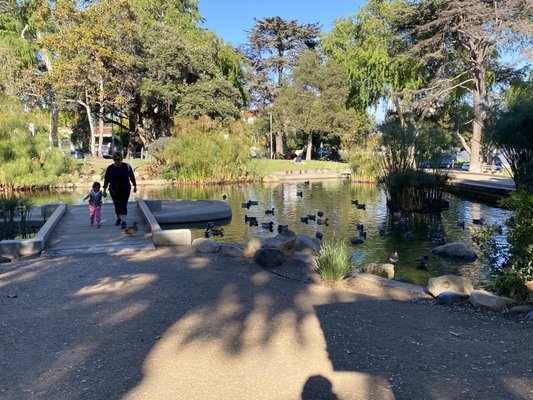 Douglas Park by null