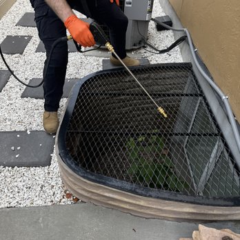 TAGZ Pest Control - Pest Control Near Me TAGZ Pest Control - Pest Control Near Me
