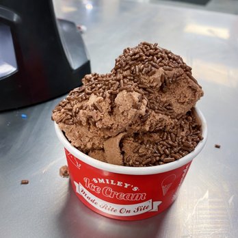 Smiley's Ice Cream - Chocolate with chocolate sprinkles - Food Trucks Near Me - Bridgewater, Virginia Smiley's Ice Cream - Chocolate with chocolate sprinkles - Food Trucks Near Me - Bridgewater, Virginia