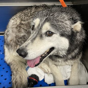 Incredible Pets - Pet Stores Near Me - Sacramento, California Incredible Pets - Pet Stores Near Me - Sacramento, California