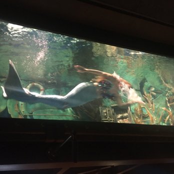 Dive Bar - Mermaids!!!! - Dive Bars Near Me - Sacramento, California Dive Bar - Mermaids!!!! - Dive Bars Near Me - Sacramento, California