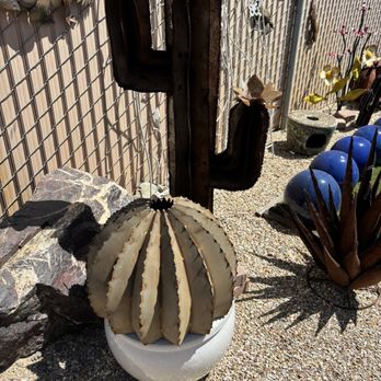 Caligos - Cacti - Home Decor Near Me - Cave Creek, Arizona Caligos - Cacti - Home Decor Near Me - Cave Creek, Arizona